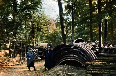 Ein Lagerbereich der französischen Armee im Wald bei Verdun, September 1916 (Autochrom)